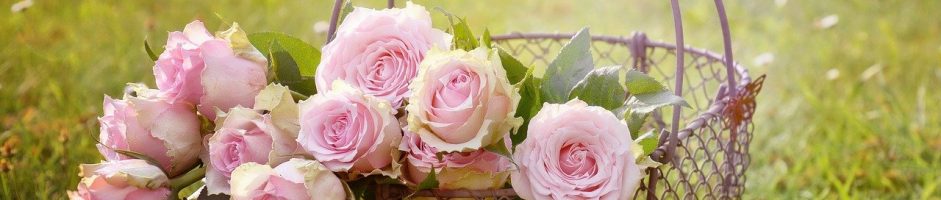SYLVINE FLEURS