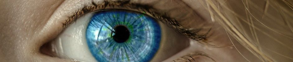 OPTICAL CORNER – SARL OC CERGY