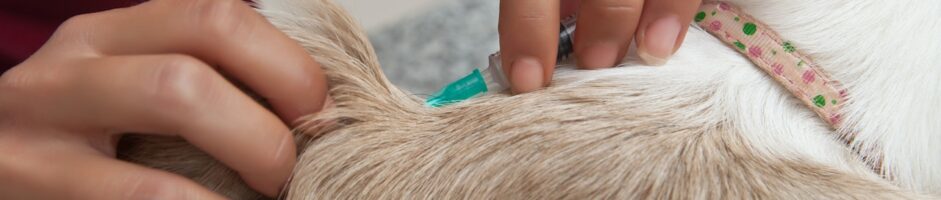 SCP GROUPE VETERINAIRE DU MONASTIER