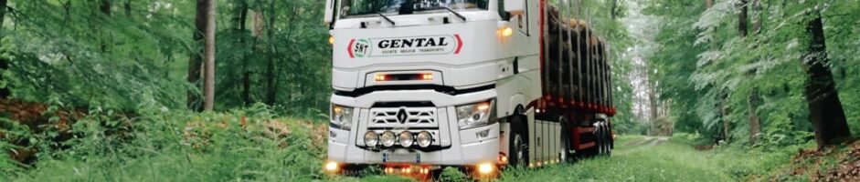 SNT GENTAL CLAUDE