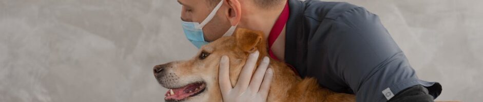 CLINIQUE VETERINAIRE SAINTE VICTOIRE