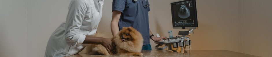 SCP VETERINAIRES FERREY
