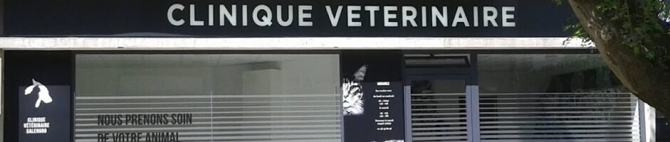 CLINIQUE VETERINAIRE SALENGRO